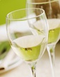 グラスワイン （赤・白）