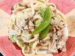 そら豆と豚肉の塩昆布クリームうどん